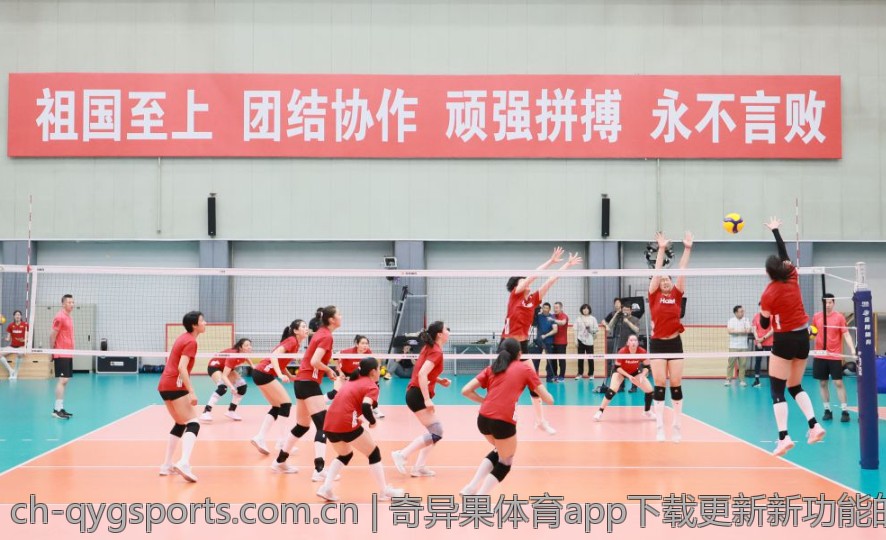 奇异果体育app下载更新新功能的期待与预测